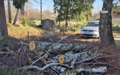 Radovi na uređenju školskog dvorišta u PŠ Tominovac