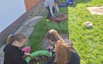 Uređenje okoliša u PŠ Bektež