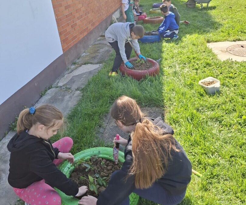 Uređenje okoliša u PŠ Bektež